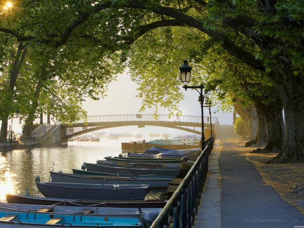 Boats along a tree-lined river