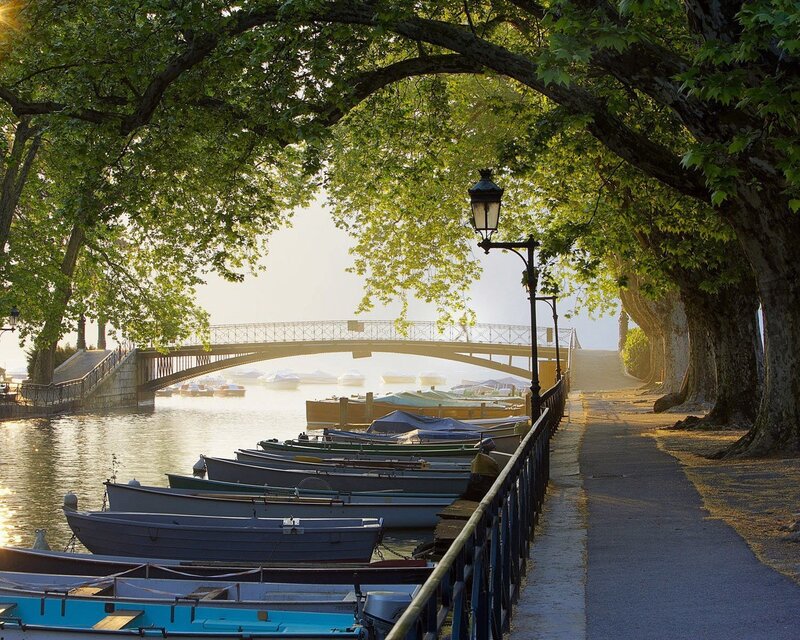 Boats along a tree-lined river