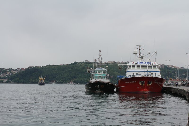 Boats at a harbor on an overcast day