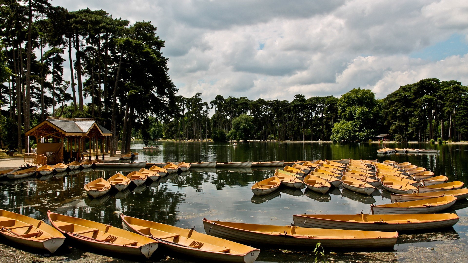 Boats at a lakeside park