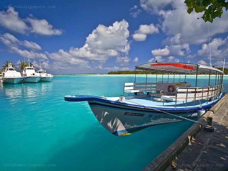 Boats at a tropical dock