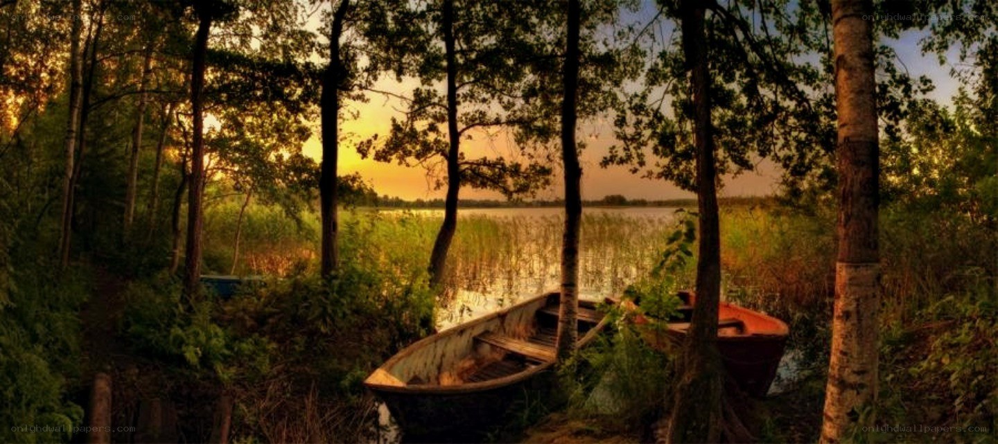 Boats at sunset in a forest