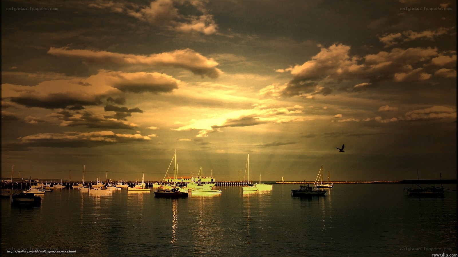 Boats at sunset in harbor