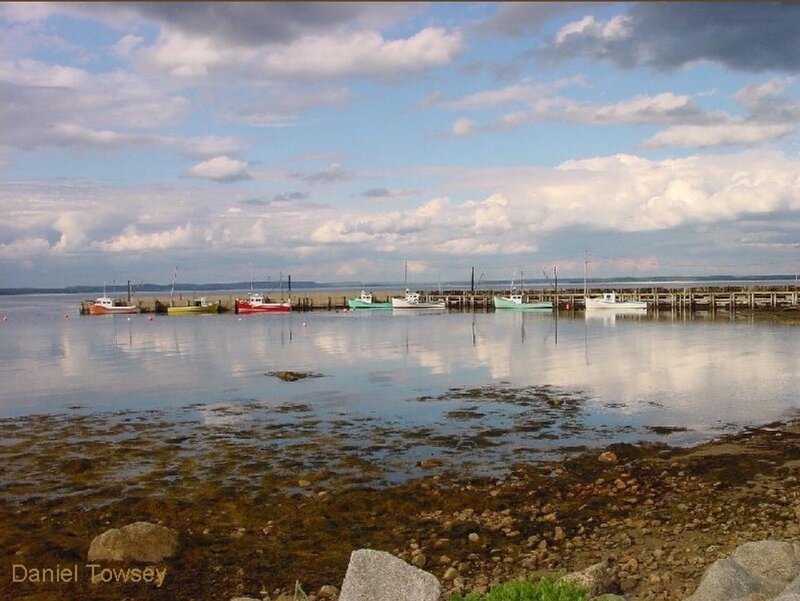 Boats docked at a calm harbor