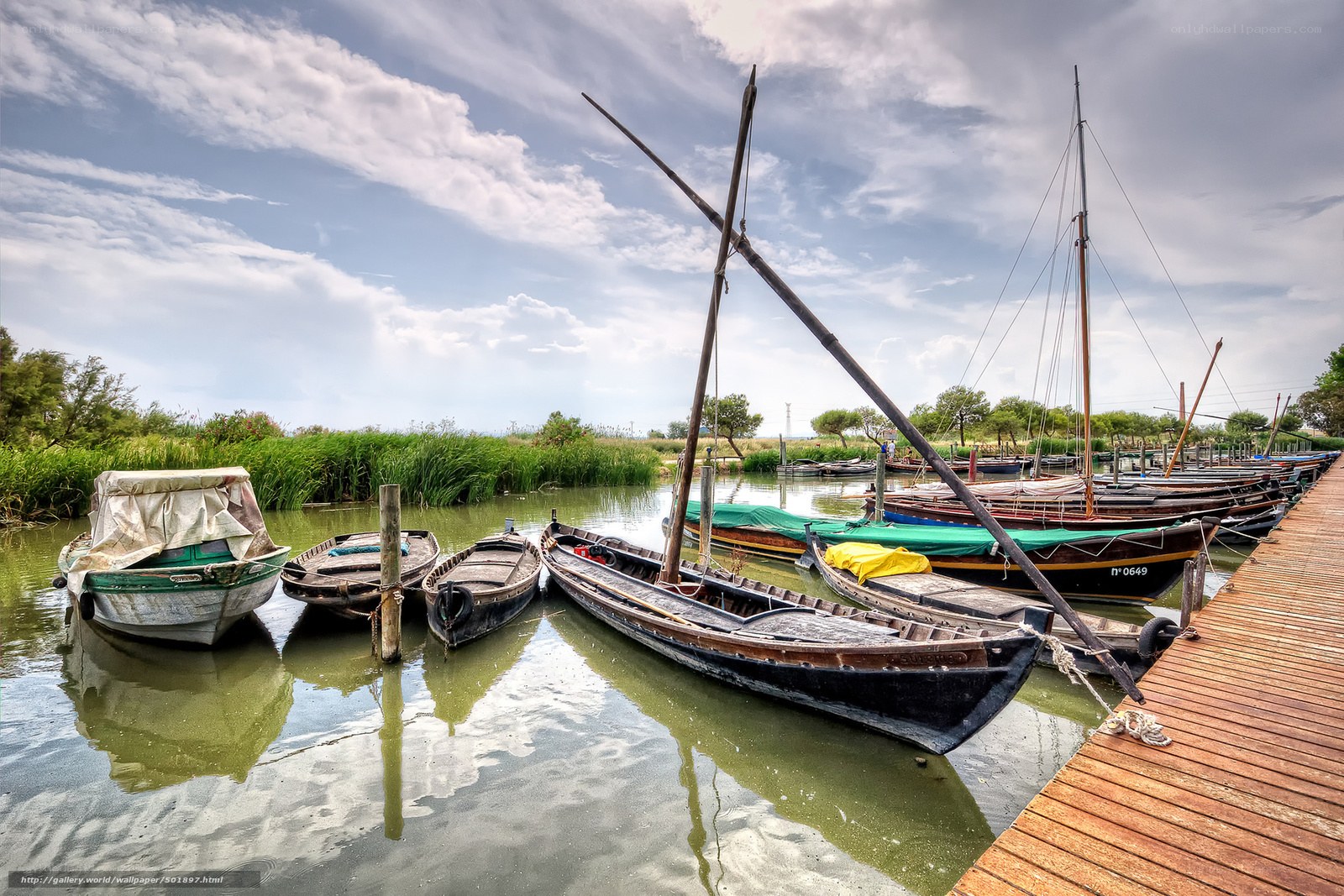 Boats docked at a canal