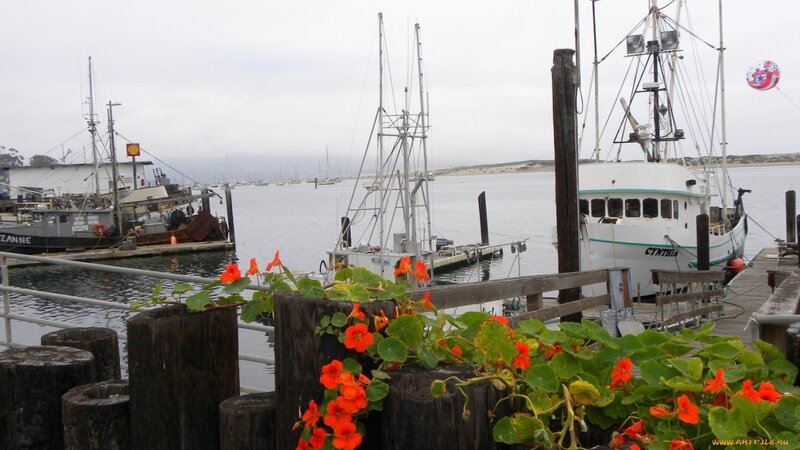 Boats docked at a harbor
