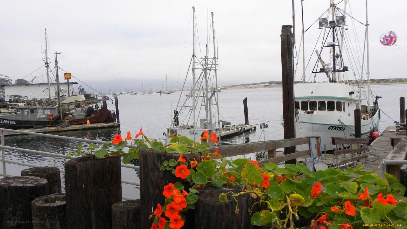 Boats docked at a harbor