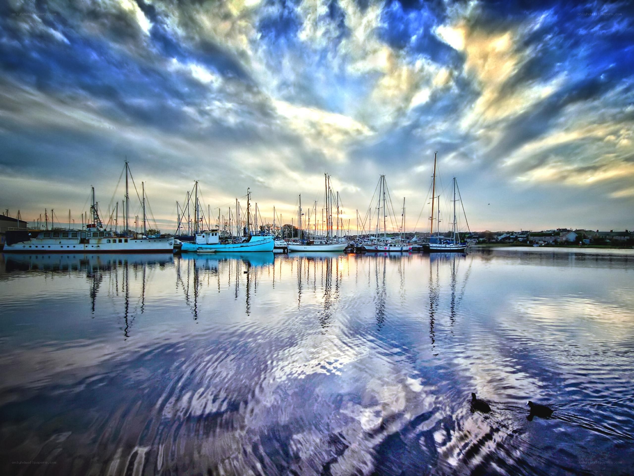 Boats docked at a harbor