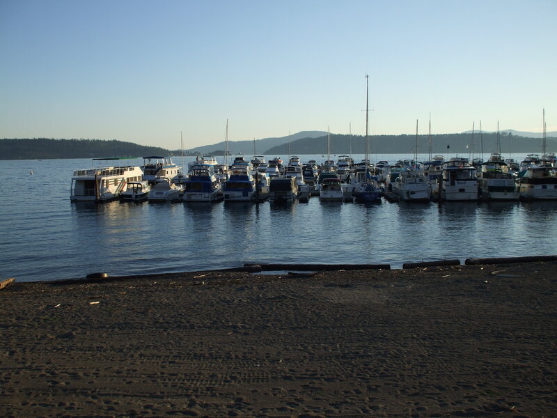 Boats docked at a lakeside marina