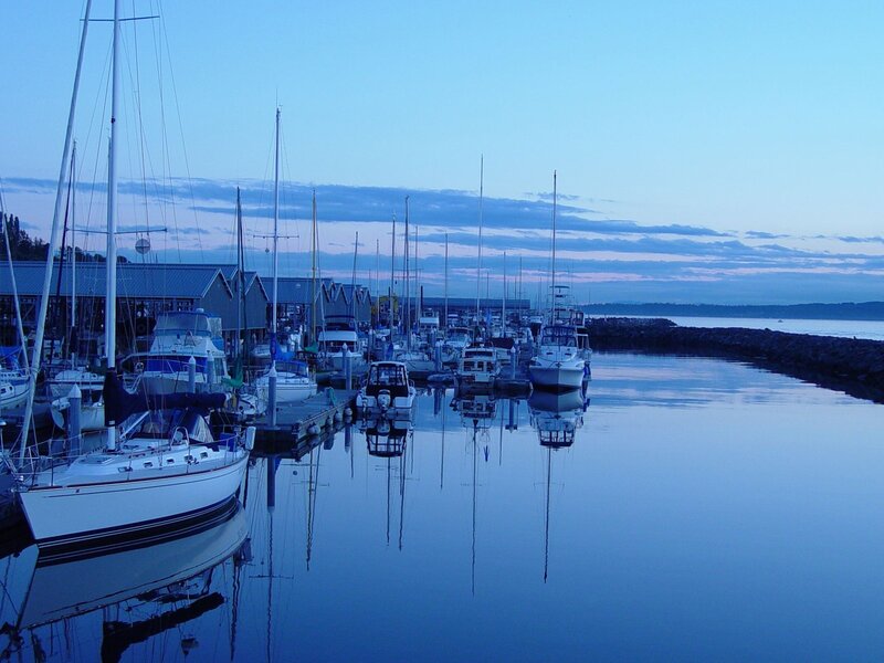 Boats docked at a marina