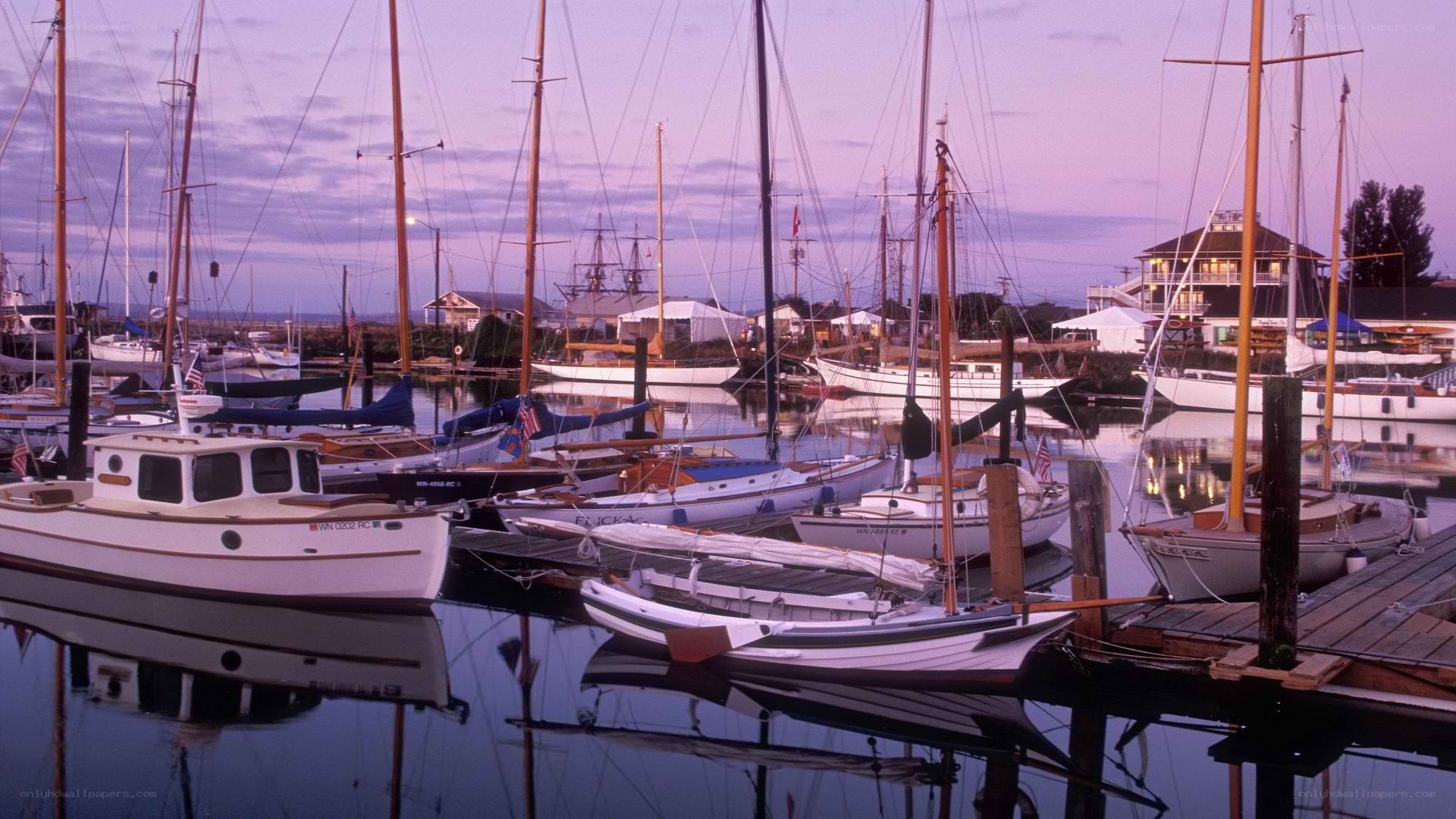 Boats docked at a marina