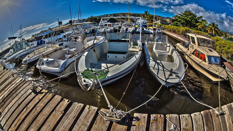 Boats docked at a marina