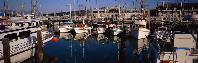 Boats docked at a marina