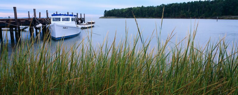 Boats docked at a marshy shore