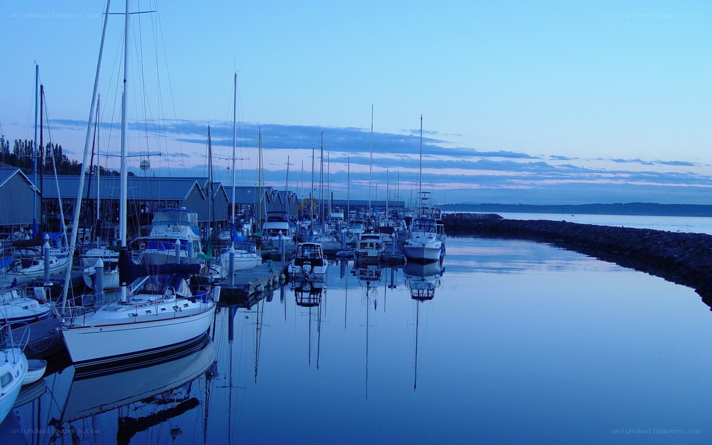 Boats docked at marina
