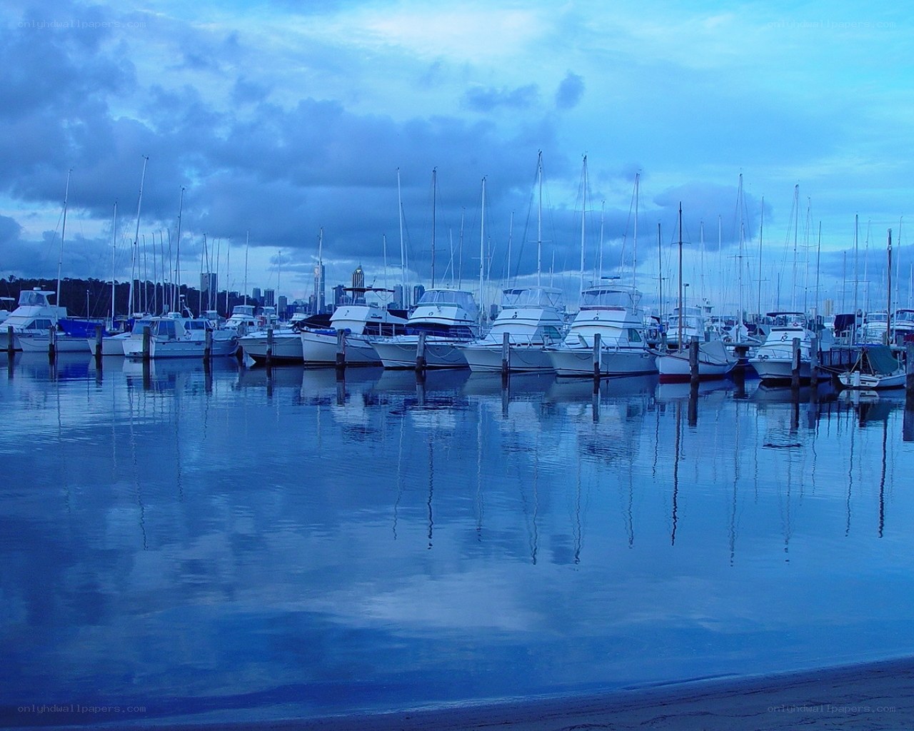 Boats docked at marina