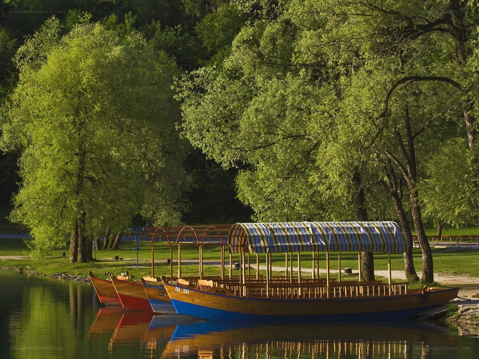 Boats docked by a lakeside