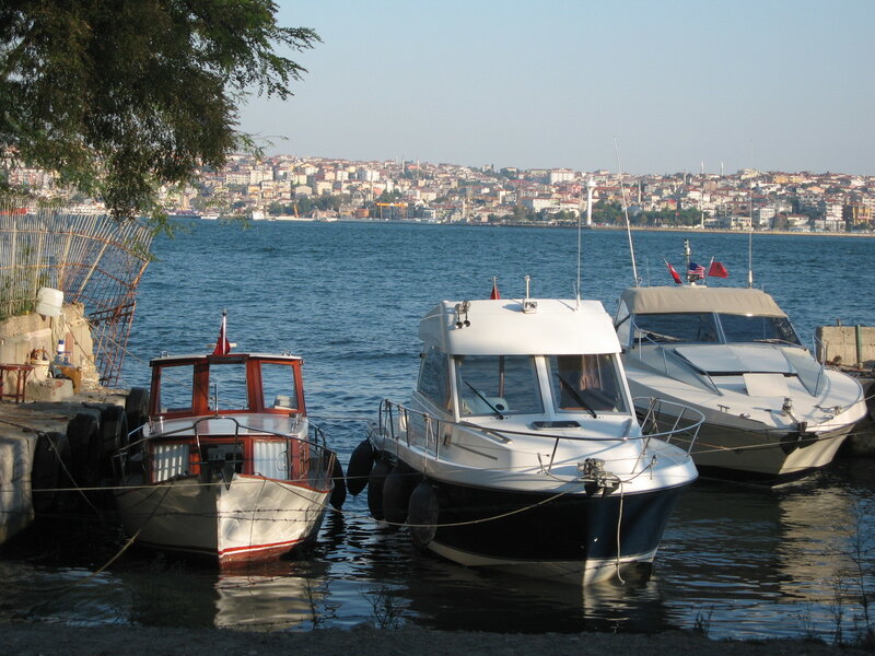 Boats docked by the water