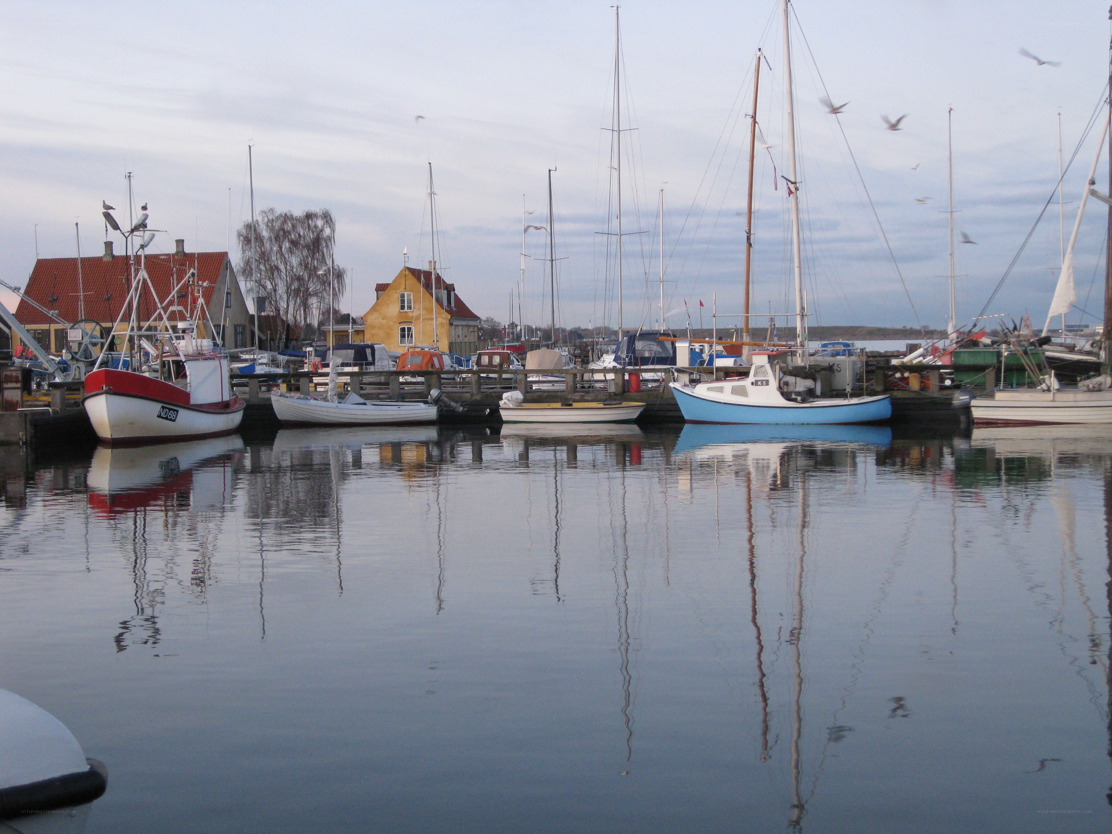 Boats docked in a harbor