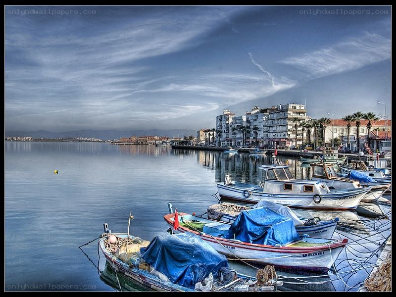 Boats docked in a harbor