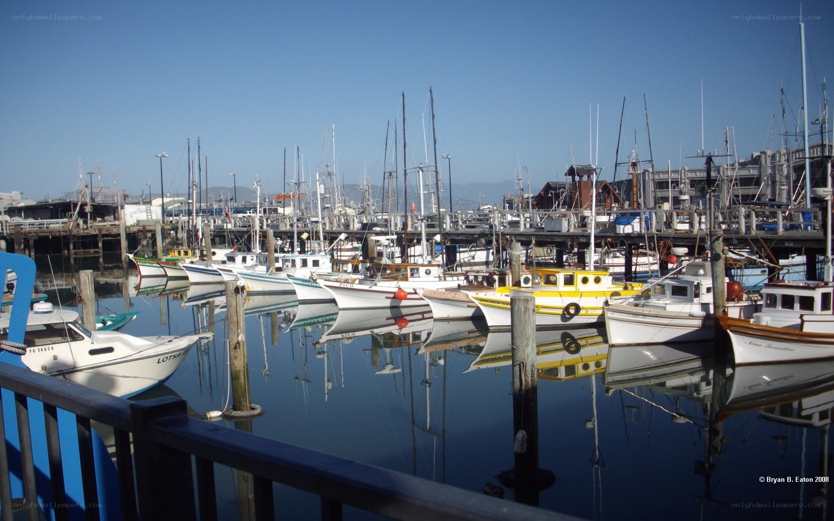 Boats docked in a harbor