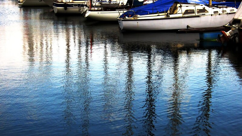 Boats docked in a harbor