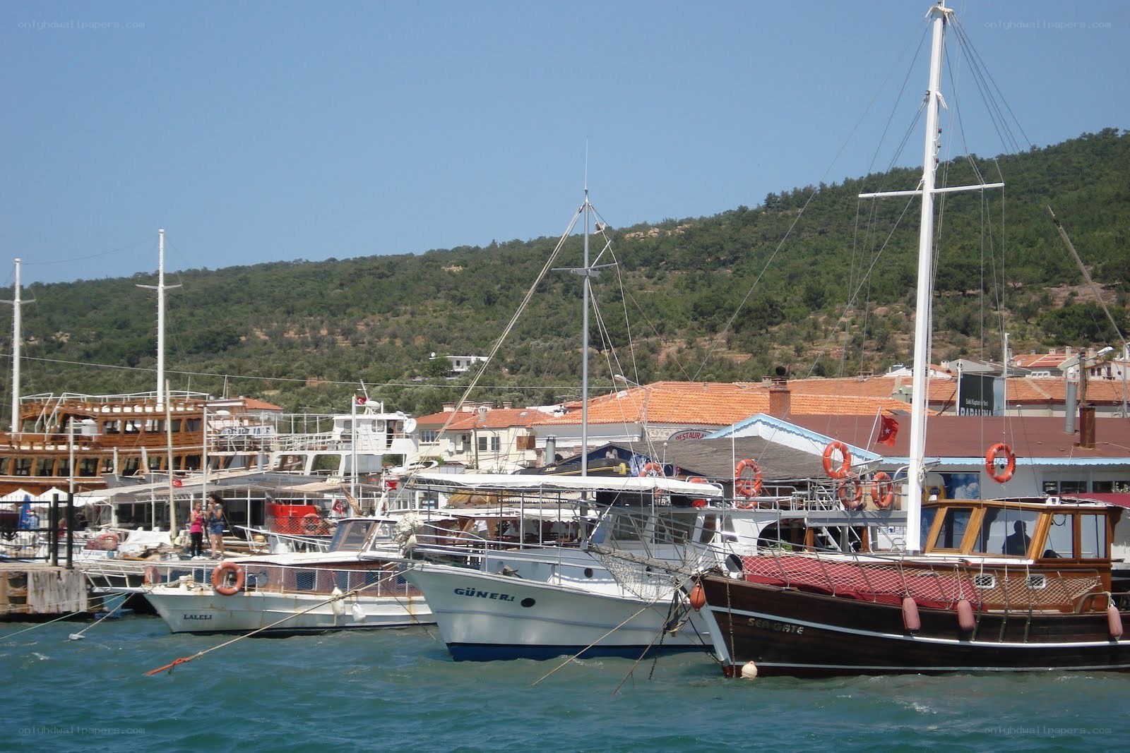 Boats docked in a harbor