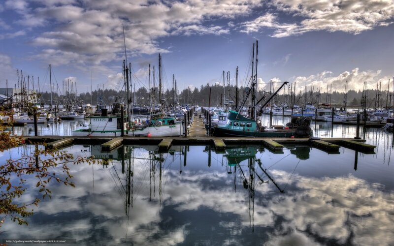 Boats docked in a harbor