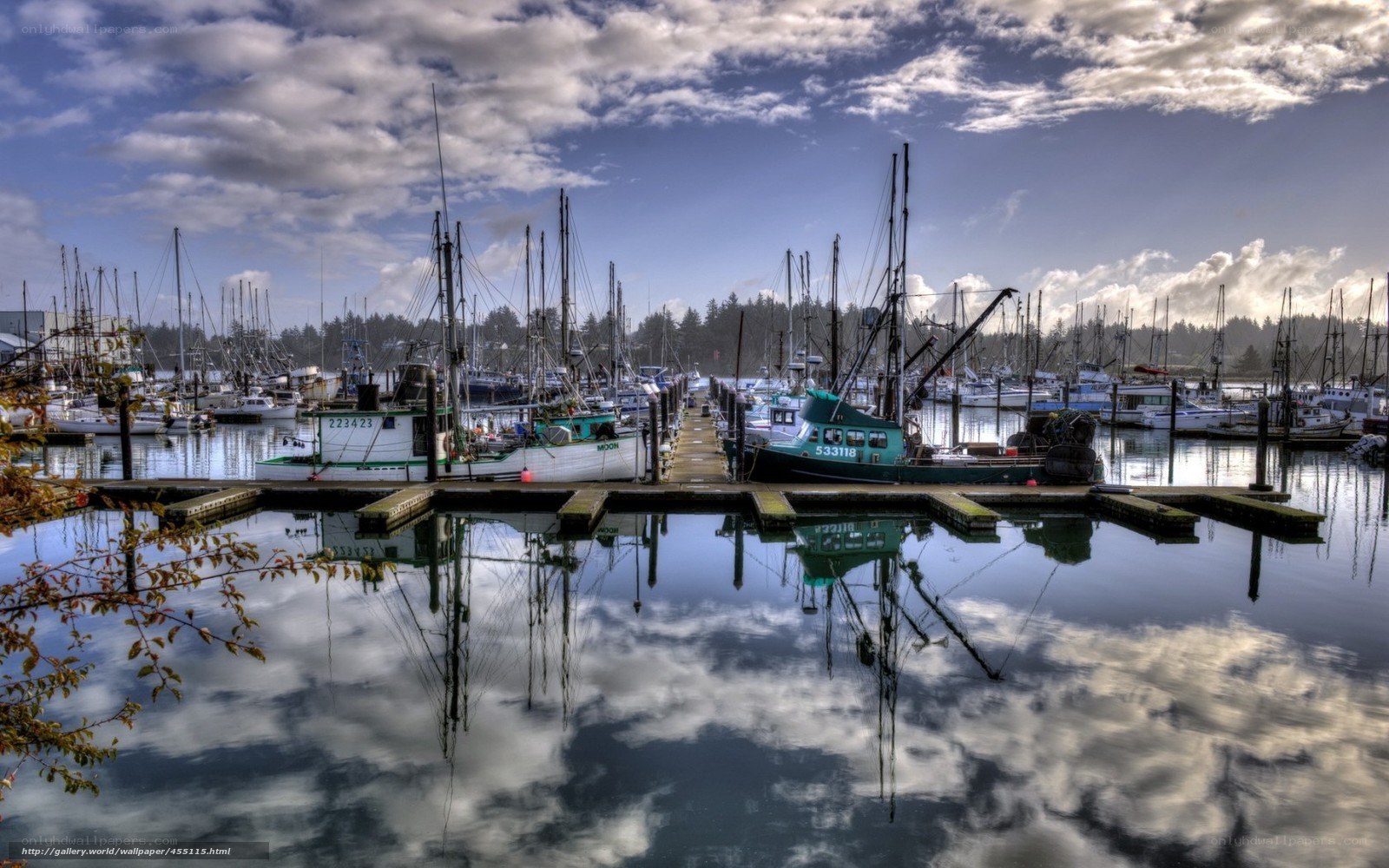 Boats docked in a harbor