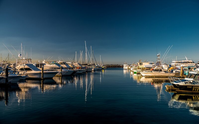 Boats docked in a marina