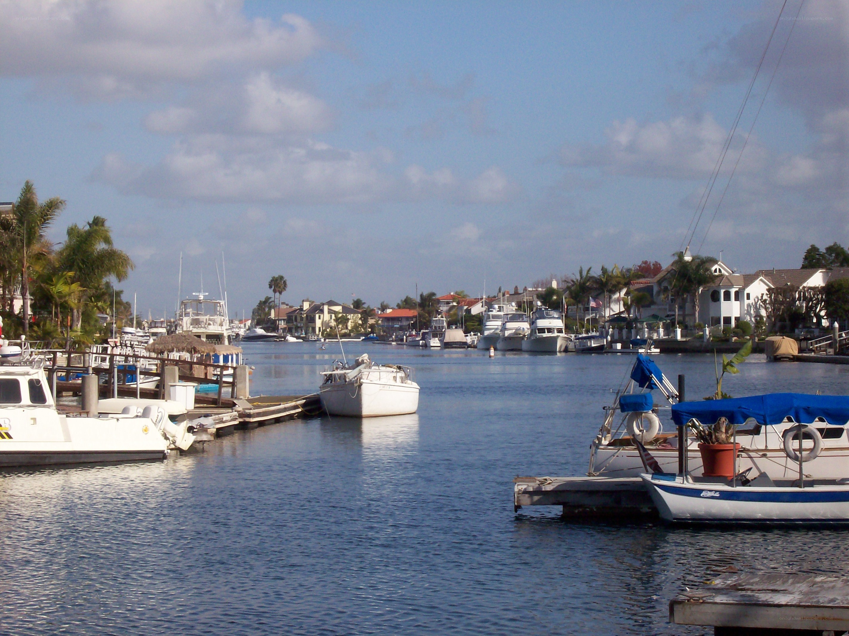 Boats docked in a marina