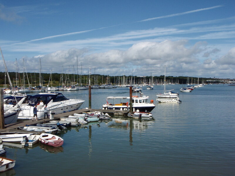 Boats docked in a marina