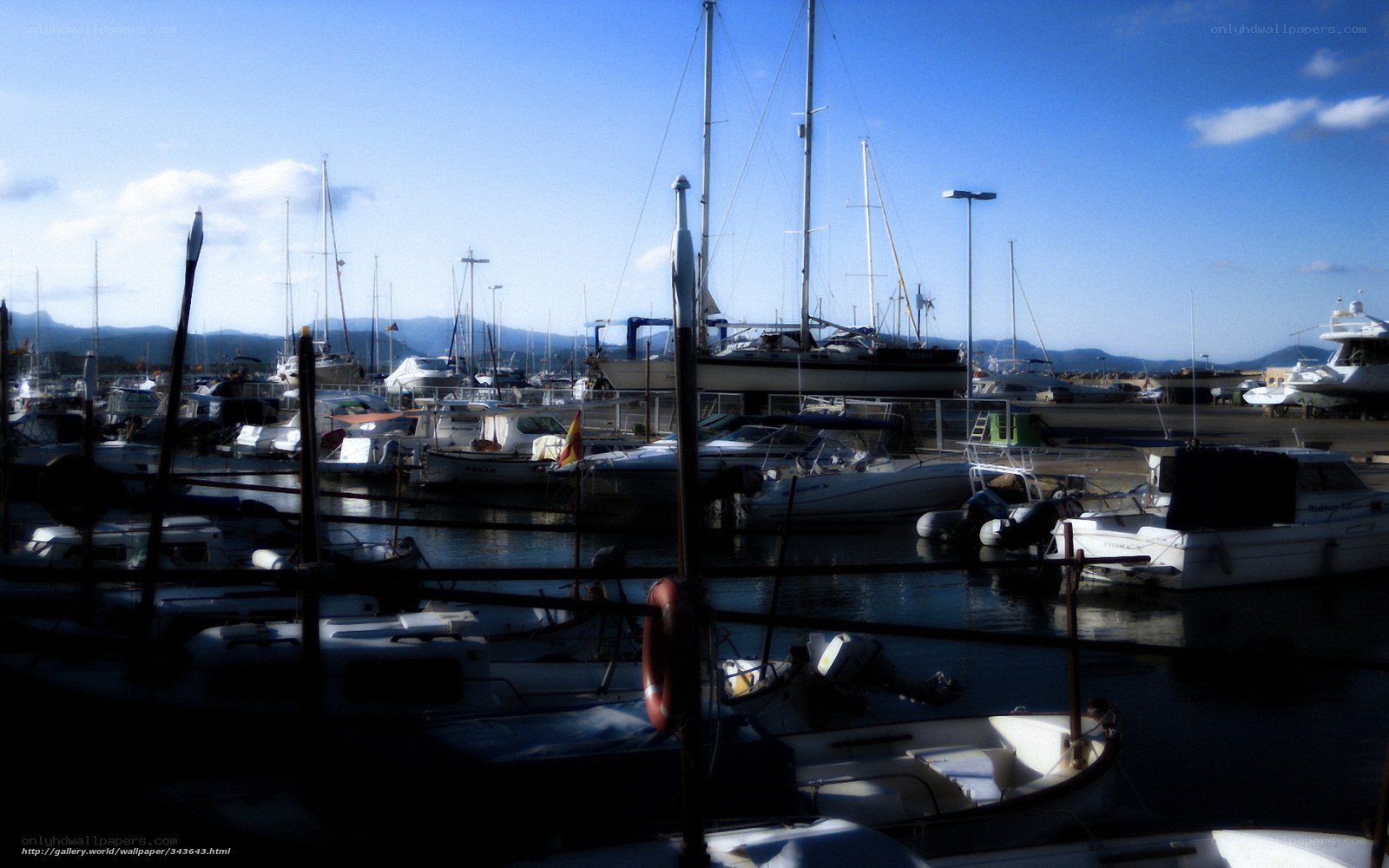 Boats docked in a marina