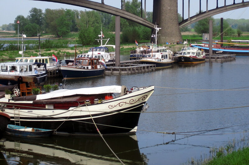 Boats Docked under Bridge