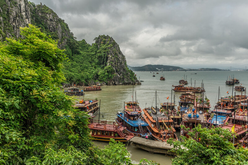 Boats in a Bay — Green, Overcast