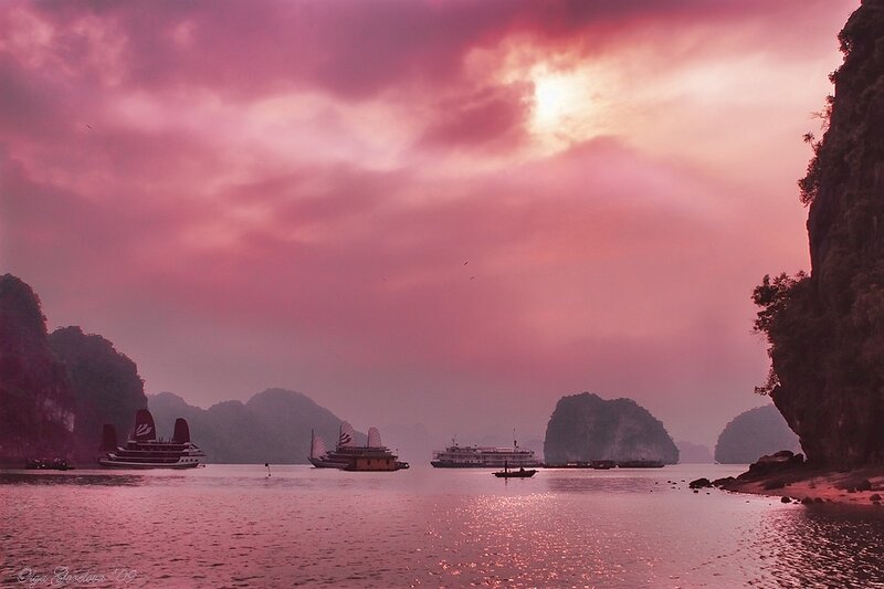Boats in a Bay