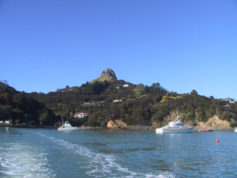 Boats in a bay with a hill