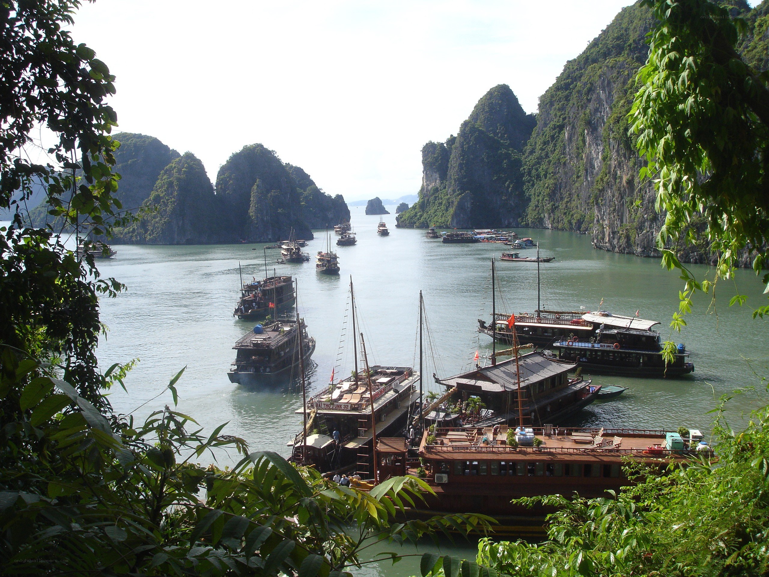 Boats in a bay with limestone cliffs