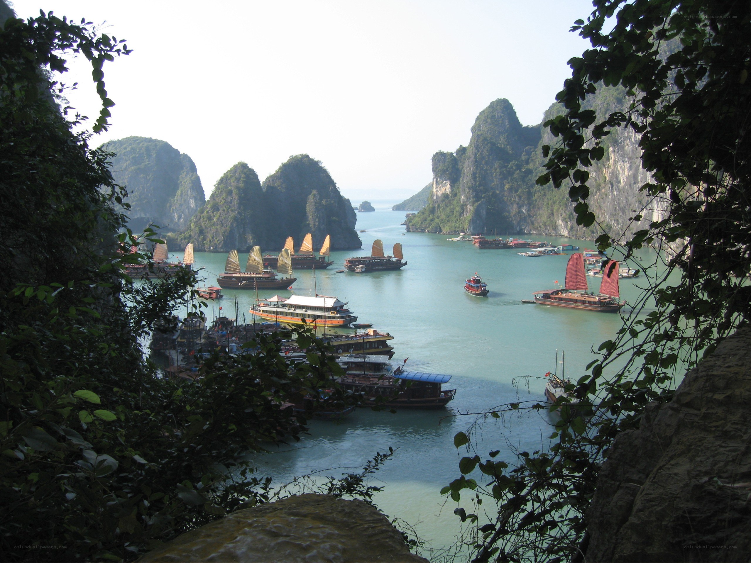 Boats in a bay with limestone cliffs