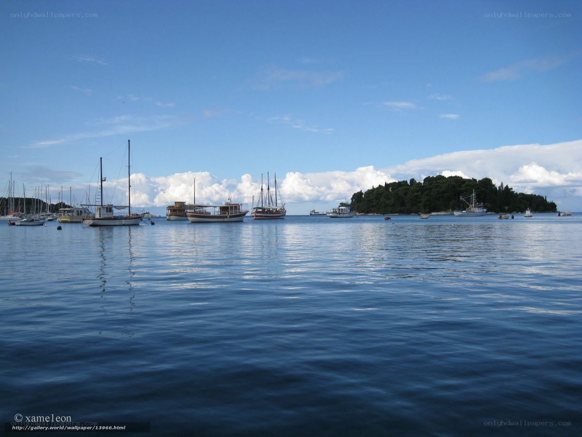 Boats in a calm harbor