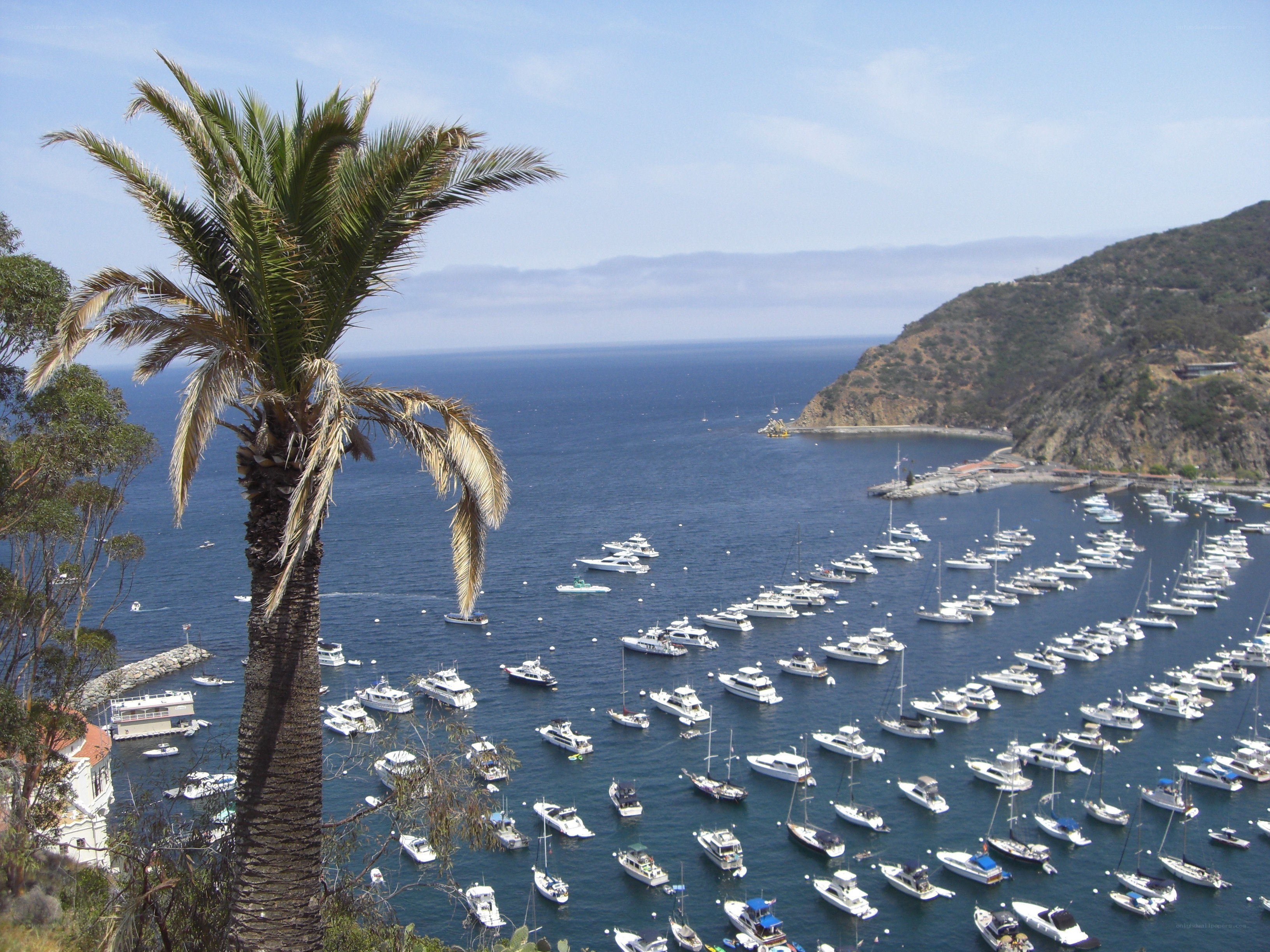 Boats in a coastal harbor