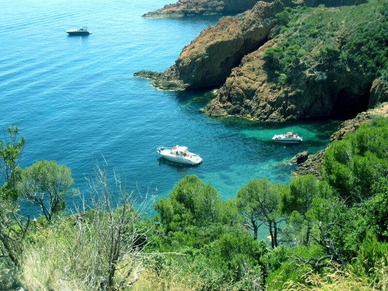 Boats in a Cove — Blue