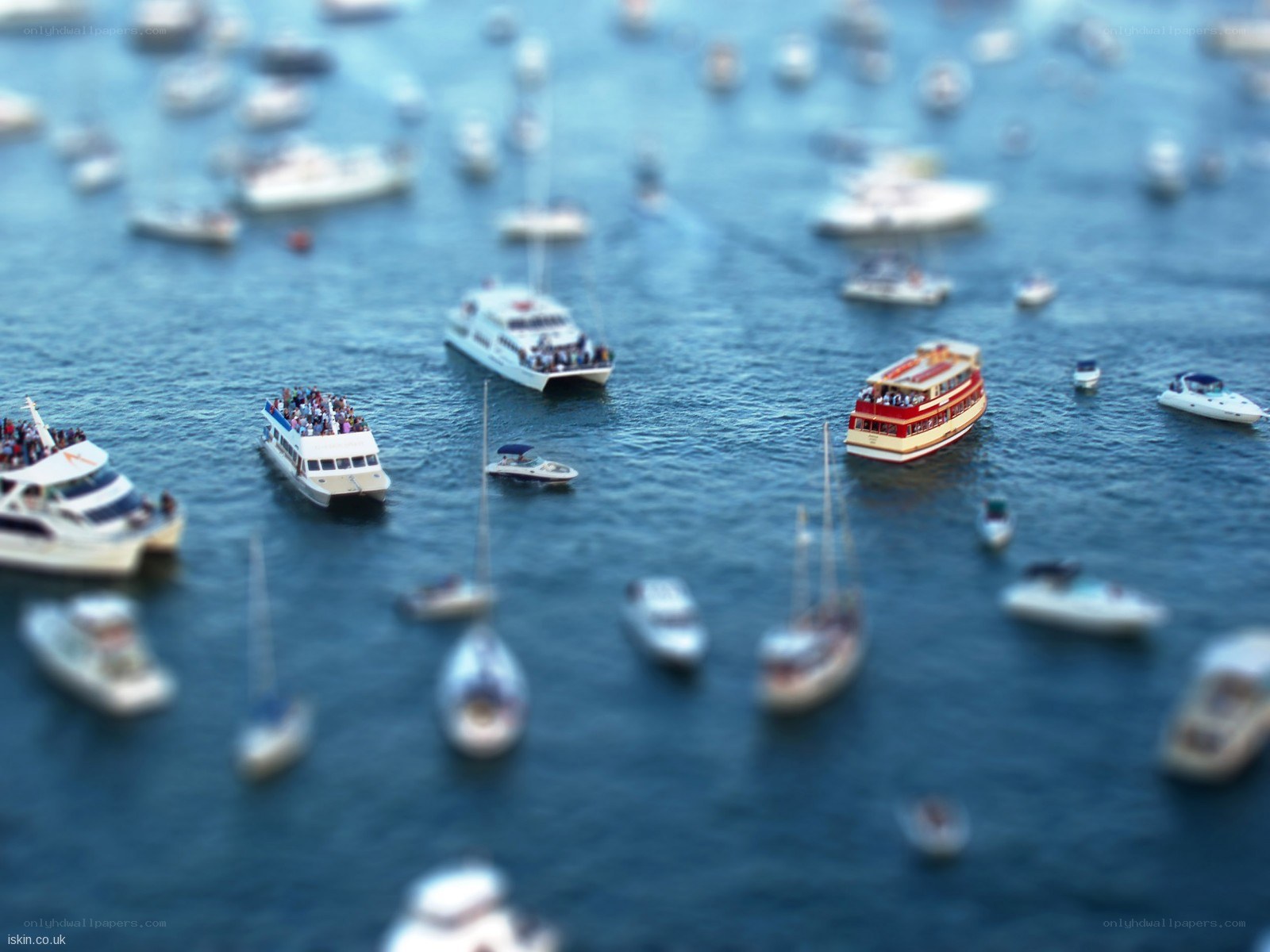 Boats in a harbor