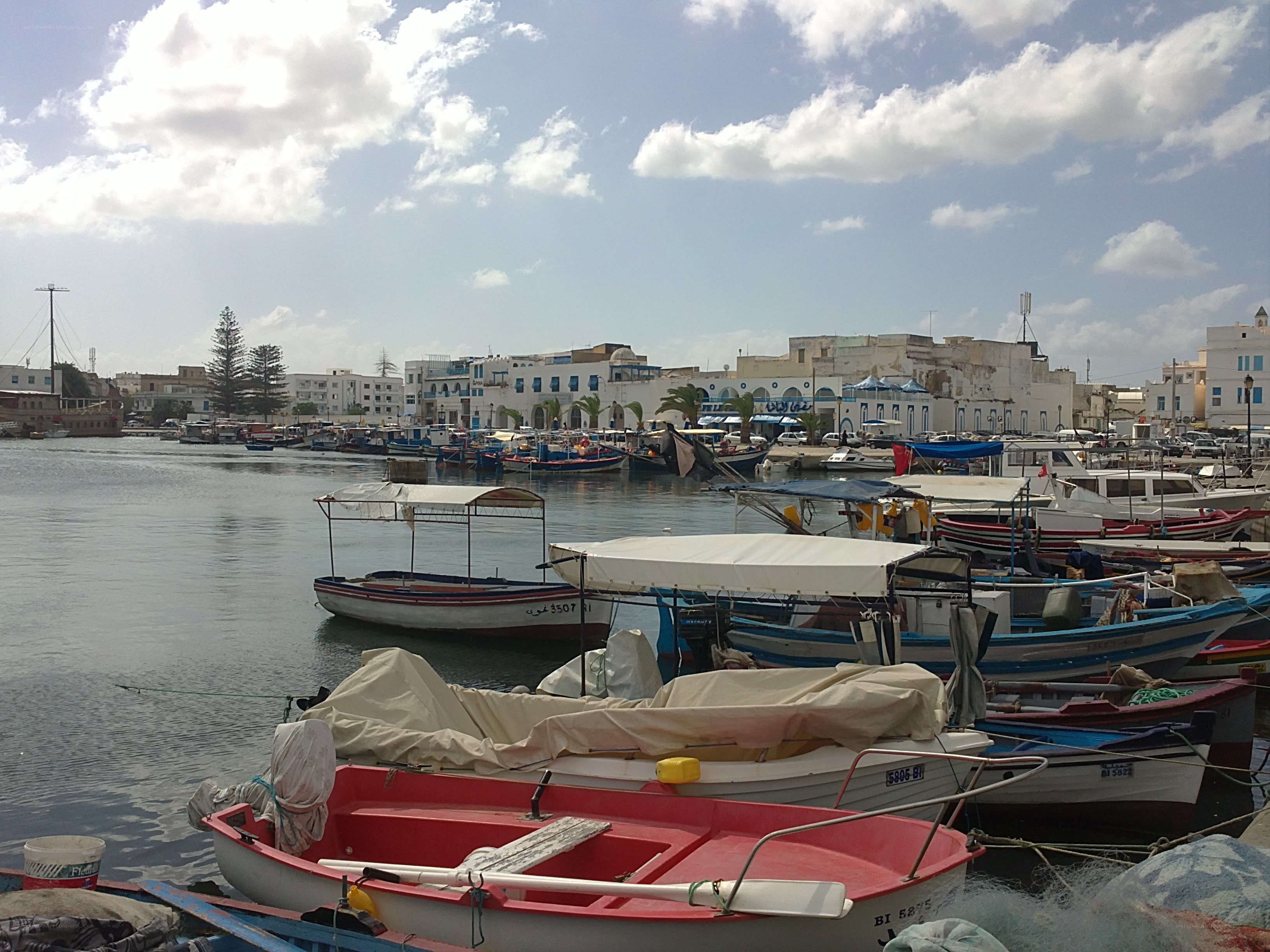 Boats in a harbor