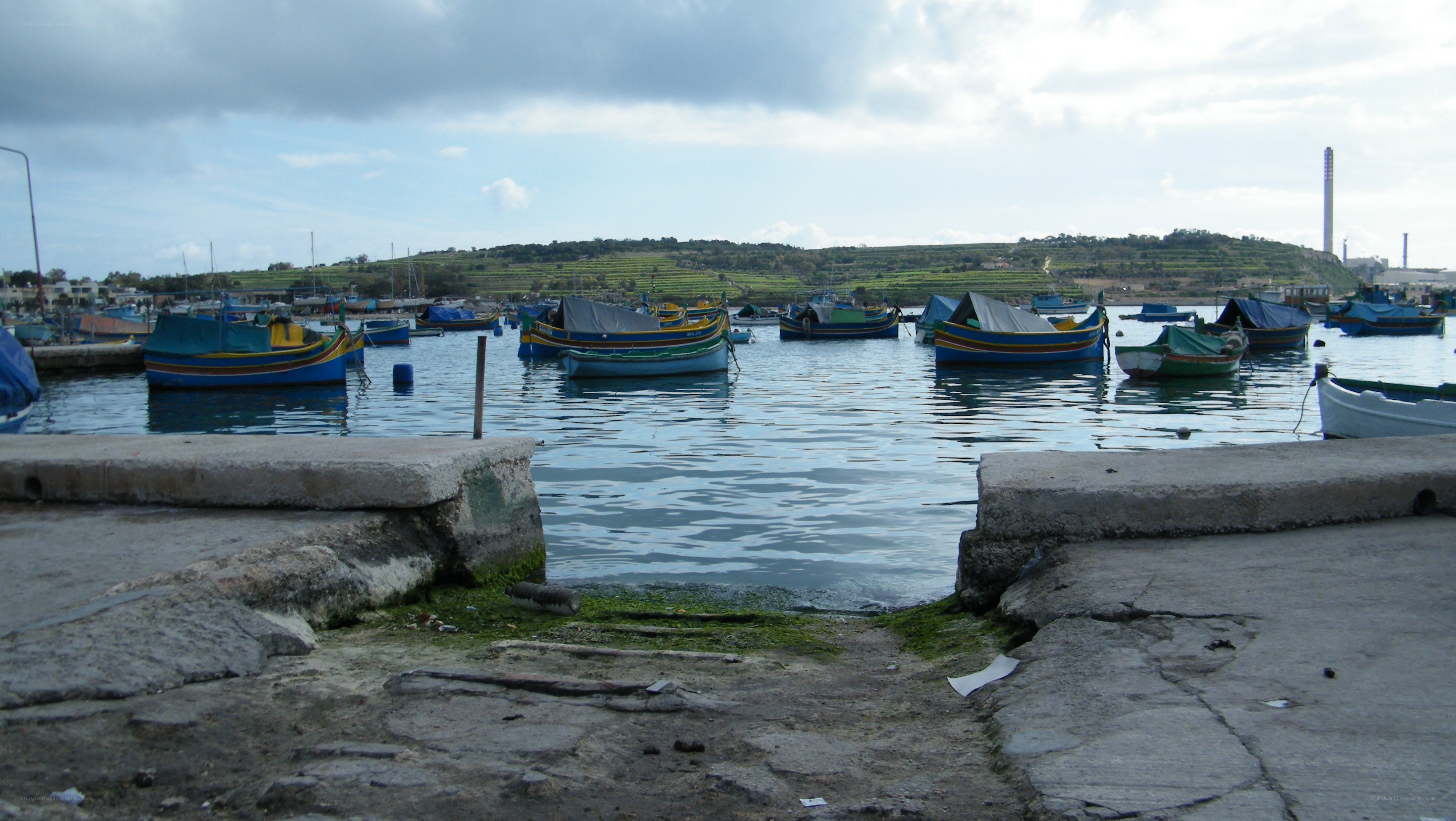 Boats in a harbor