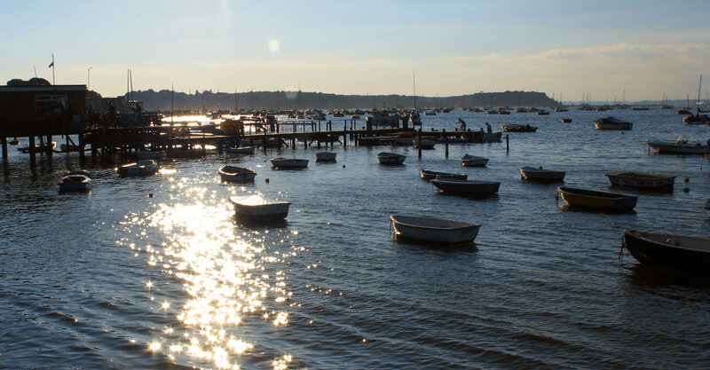 Boats in a harbor at sunset