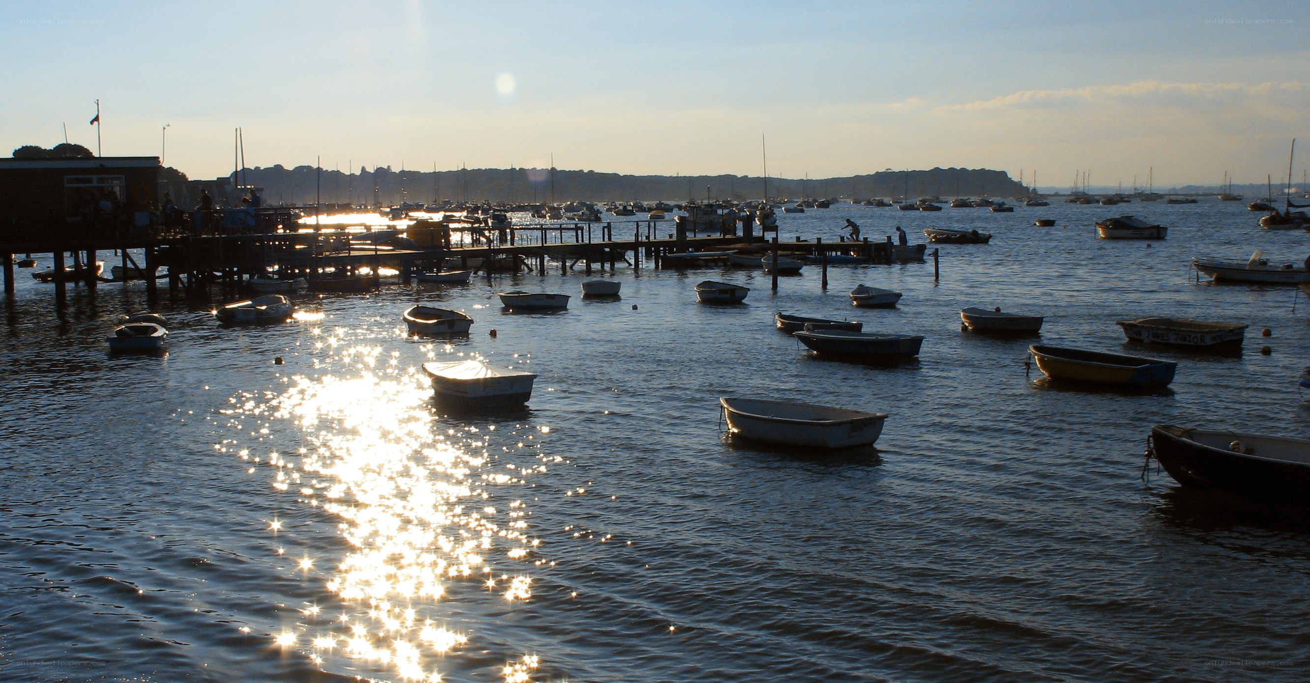 Boats in a harbor at sunset