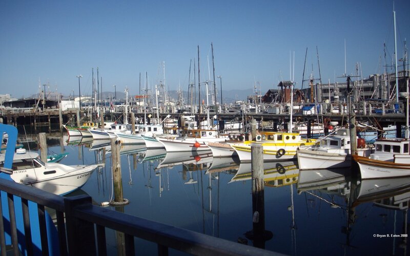 Boats in a Harbor — Blue, Calm, Afternoon, Photograph, Docks, Masts