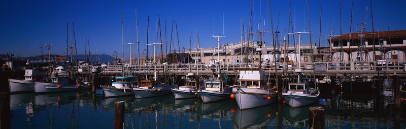Boats in a Harbor — Blue, Calm, Afternoon, Photograph, Docks