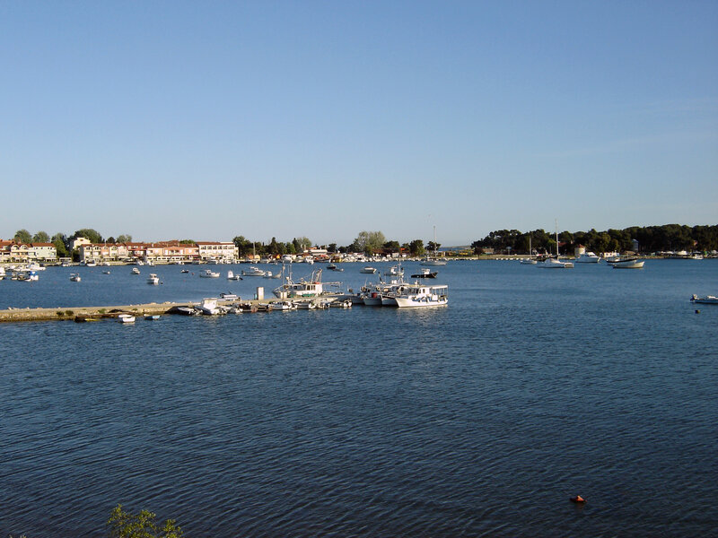 Boats in a Harbor — Blue, Serene, Afternoon, Photograph, Buildings, Trees, Dock